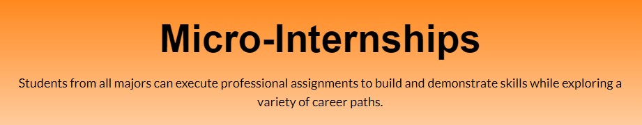 Micro-Internships