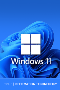 A graphic image displaying the Microsoft Logo and the words Windows 11