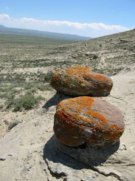 green river concretion