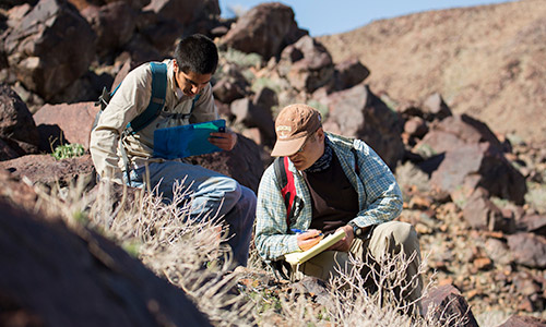 Professor and student examining flora in the desert