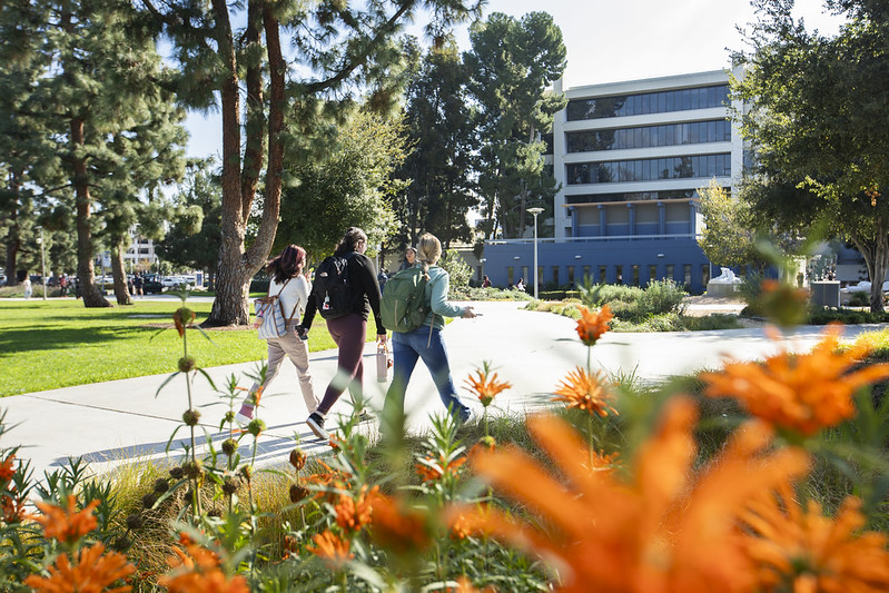 Get the most out of the scholarships available to you as Cal State Fullerton